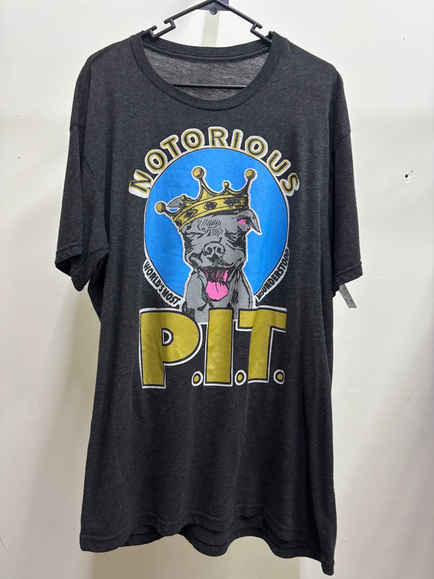 NOTORIUS BIG PIT TEE