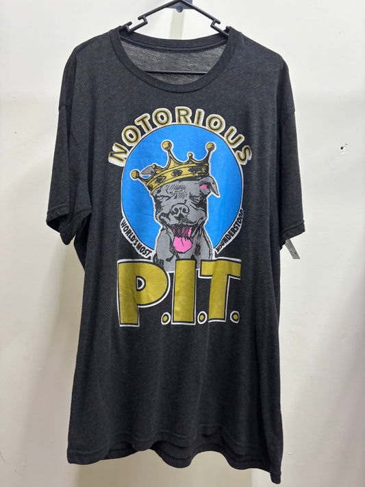 NOTORIUS BIG PIT TEE