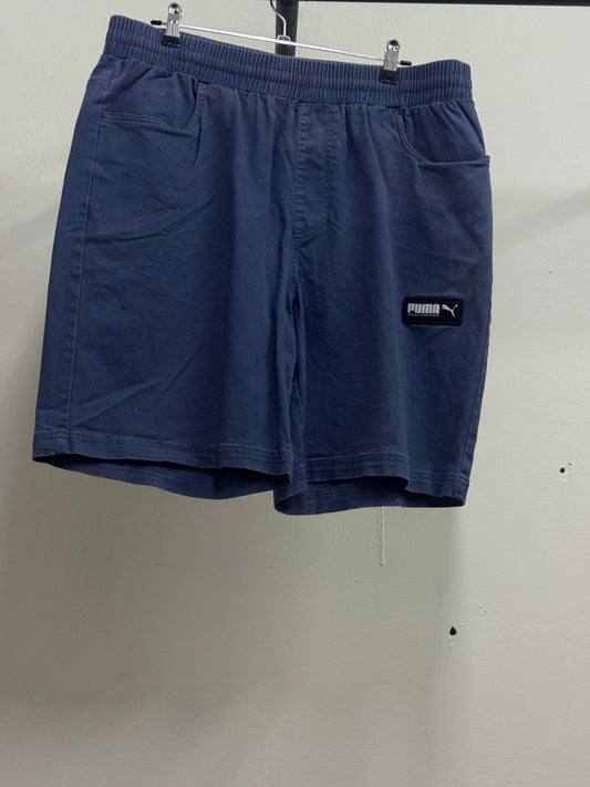 Puma SportsWear Light Blue Shorts