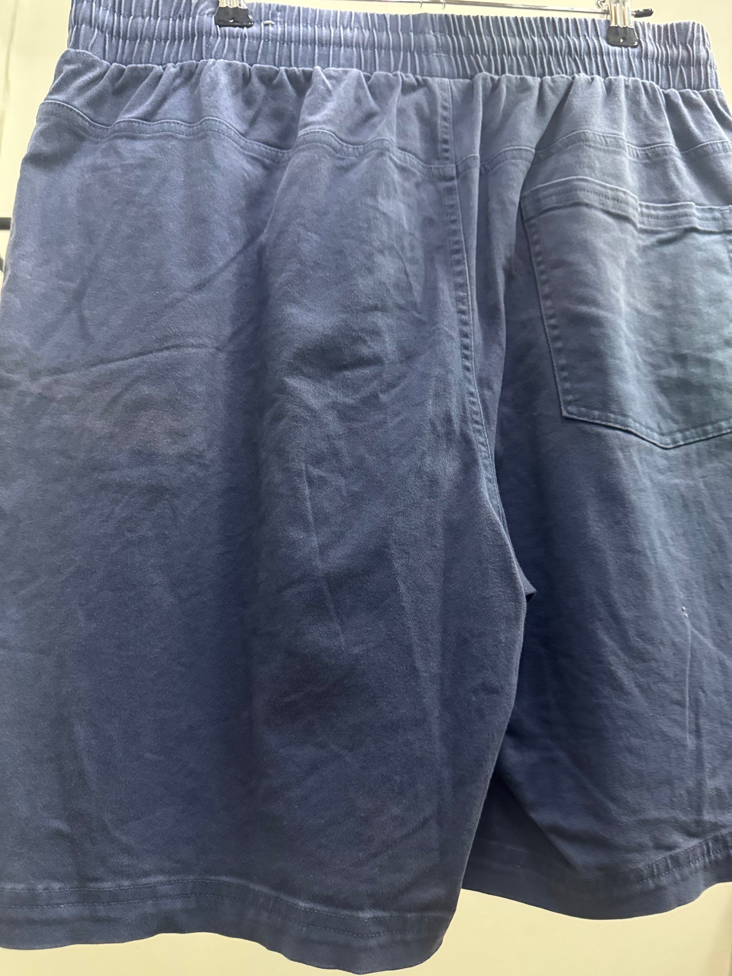 Puma SportsWear Light Blue Shorts