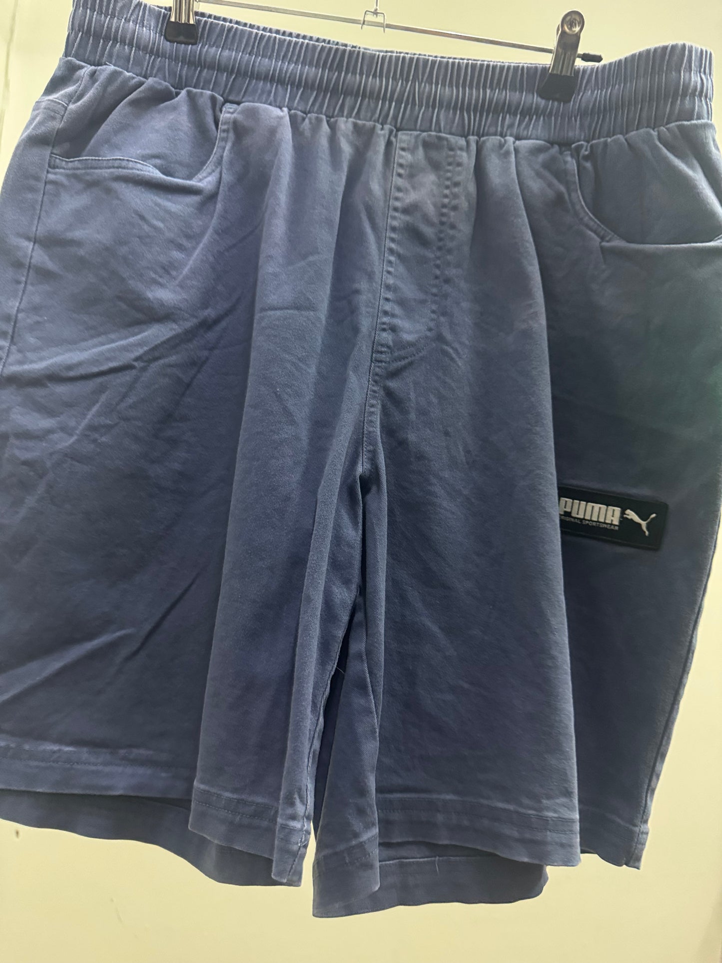 Puma SportsWear Light Blue Shorts