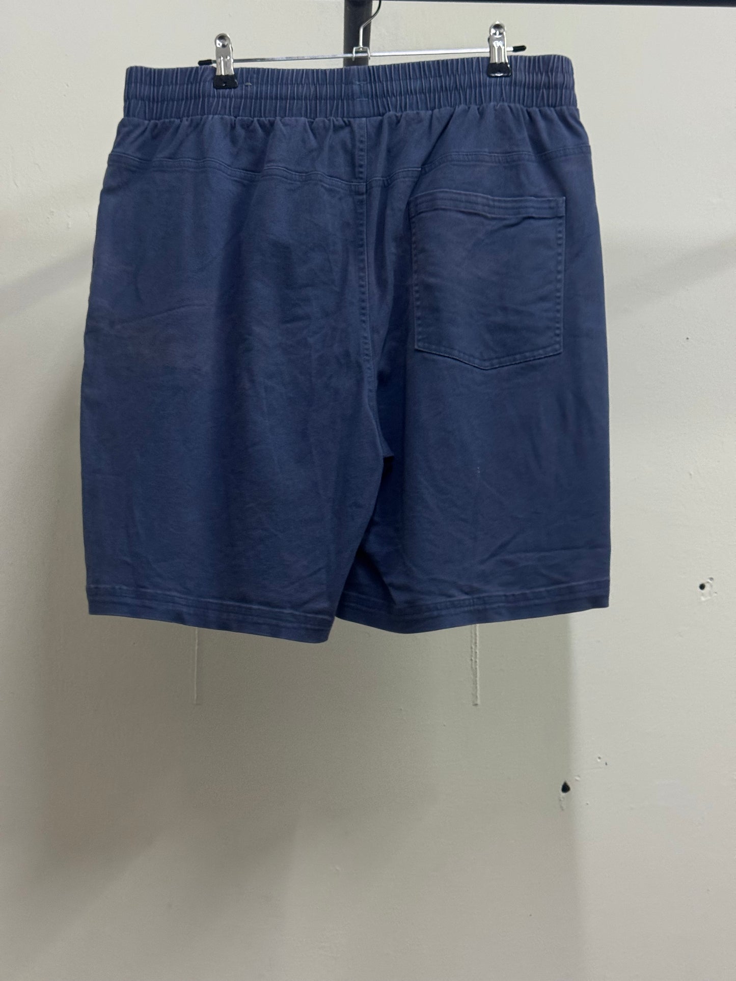 Puma SportsWear Light Blue Shorts